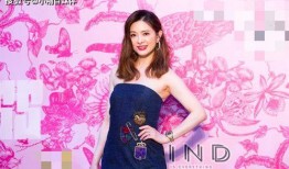 娱乐圈爆料舞王刘真,娱乐圈风云中的璀璨舞者