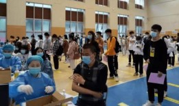 开封小学爆料事件最新消息,最新进展及影响深度解析