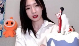 白衬衫全过程爆料视频在线观看,从设计到成衣的华丽蜕变