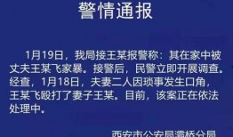 陕西家暴谁爆料的多啊最新消息,最新案例揭示家庭暴力现状