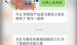 监控人对话版最新爆料,揭秘神秘对话版内幕