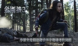 狼战3电影在线观看,巅峰对决，在线热血激战