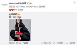 文泽园最新爆料,揭秘娱乐圈最新动态