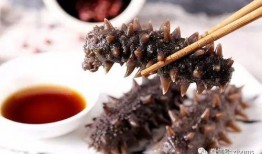 妖怪爆料海参视频,妖怪视角下的神秘生物奇观