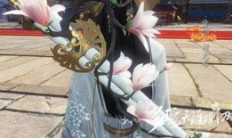 鬼鲛新时装爆料视频大全,揭秘爆料视频大全