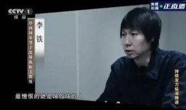 浮桥案审判长爆料视频播放,视频播放背后的真相与内幕