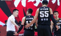 天涯爆料杨鸣视频大全集,揭秘篮球场上的风云人物