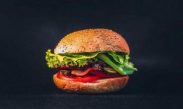 汉堡爆料视频大全集下载,揭秘幕后真相与精彩瞬间