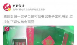 爆料出轨模板视频大全集,揭秘现代婚姻危机背后的秘密