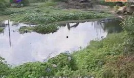 潮州爆料曝光新闻,最新曝光新闻盘点