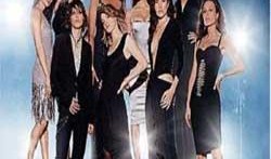 拉字至上第三季在线观看,情感纠葛再升级，同性爱情故事续写辉煌