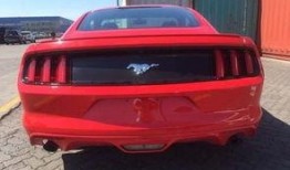 野马在线观看,探寻狂野自由的激情之旅