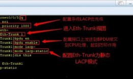 理伦聚合在线观看,探索知识融合的在线盛宴