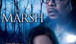 湿地电影手机在线观看,手机在线观影之旅