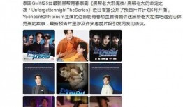 爆料人泰国真实经历视频,揭秘爆料人真实经历背后的惊险瞬间