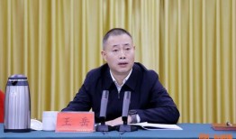 王岳的历史爆料视频大全,视频大全背后的真相与内幕