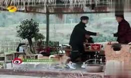 八卦爆料茶楼视频大全,茶楼视频大全揭秘娱乐圈幕后故事