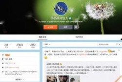 小锤子精彩爆料视频,精彩爆料视频背后的故事