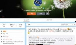 小锤子精彩爆料视频,精彩爆料视频背后的故事
