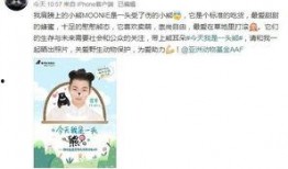 娱乐圈真实爆料许魏洲,娱乐圈背后的真实故事揭秘