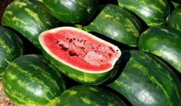 吃瓜娱乐素材下载网