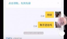 小狗爆料短视频