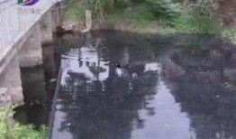 潮州爆料曝光新闻,最新曝光新闻盘点