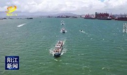 阳江今日爆料最新消息新闻,今日热点新闻速览