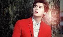 罗芳爆料李易峰视频,真相与争议并存