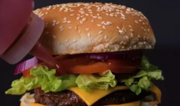 汉堡爆料视频大全集下载,揭秘幕后真相与精彩瞬间