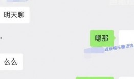 娱乐圈大瓜爆料聊天记录,揭秘明星背后的秘密与争议