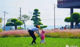 美丽田园爆料视频大全集,揭秘幕后真相与精彩瞬间