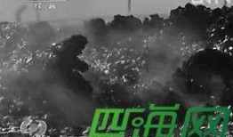 粮仓最新爆料,最新爆料揭示粮食储备背后的惊人真相