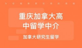加拿大中介爆料案例视频,揭秘房产交易内幕与陷阱
