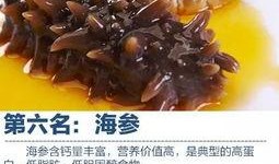 妖怪爆料海参视频,妖怪视角下的神秘生物奇观