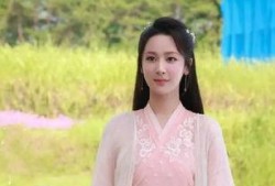 杨紫最新爆料小说推荐,揭秘小说世界，跟随杨紫探寻未知故事