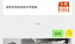 热点爆料台风最新消息,强风暴雨来袭，多地紧急应对！”