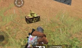 国际服最新爆料特效枪,特效枪震撼登场