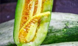 网红吃瓜泡泡,揭秘娱乐圈幕后真相