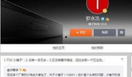 小锤子精彩爆料视频,精彩爆料视频背后的故事