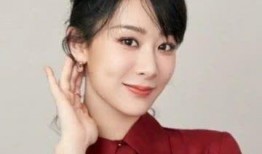 杨紫最新爆料律师,揭秘娱乐圈背后法律维权真相