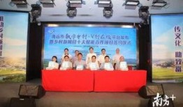 南方媒体爆料新闻网官网,新闻网官网最新动态揭秘