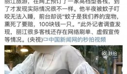 央视新闻爆料刷单,揭秘网络虚假交易背后的惊人真相