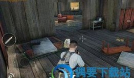 爆料新吃鸡手游视频大全,视频大全带你领略游戏魅力