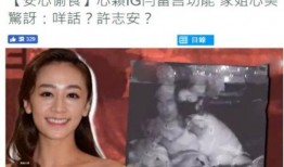 三姐被打爆料视频大全集,真相与反思