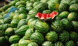 康乐网红吃瓜视频下载安装,下载安装攻略全解析