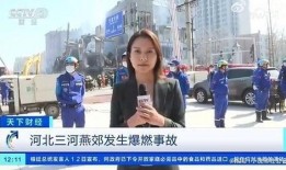 资阳记者爆料事件视频最新,真相揭露，舆论漩涡中的真相追踪