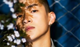 流浪超哥爆料视频大全,揭秘娱乐圈幕后真相