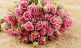 云南鲜花爆料事件真相视频,揭秘真相与背后故事