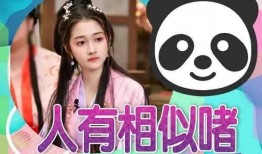 星野吃瓜最新消息爆料,揭秘娱乐圈最新爆料，真相令人震惊！